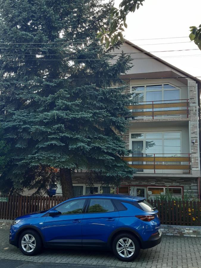 Apartment Pension Rideg Хевиз Экстерьер фото