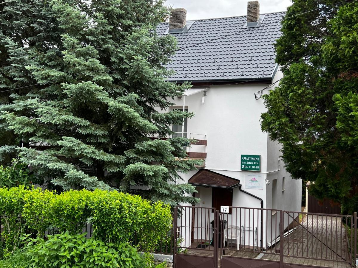 Apartment Pension Rideg Хевиз Экстерьер фото