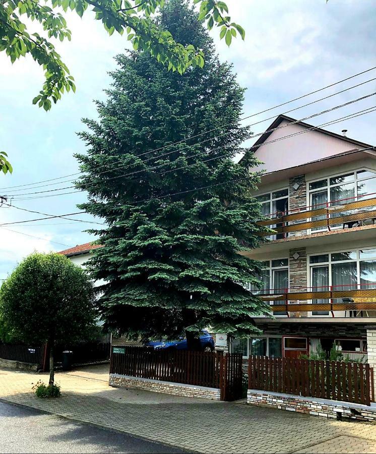Apartment Pension Rideg Хевиз Экстерьер фото